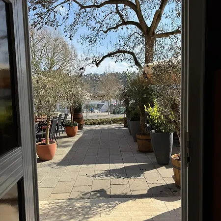 Rheinblick - Park And 